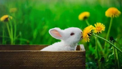 九游官网-突尼斯希望主打身体对抗但失控节奏，突尼斯球员